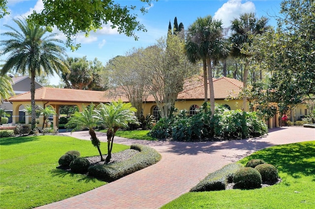 3130 Butler Bay Dr N, Windermere, FL 34786 - view of front of property with curved driveway, a tile roof, and stucco siding