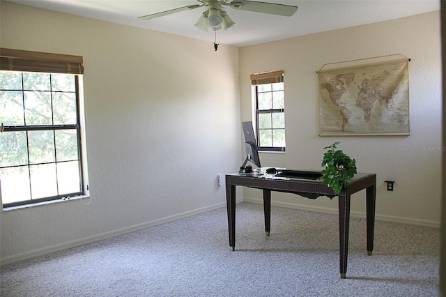 22139 Scenic Ridge Ct, Mount Dora, FL 32757 - photo 26