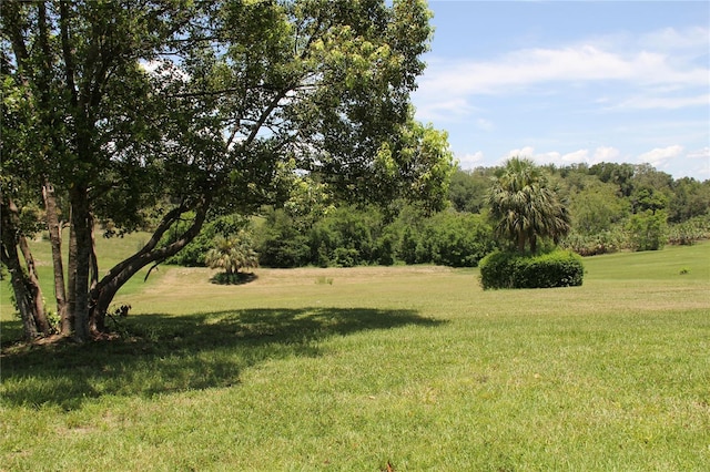 22139 Scenic Ridge Ct, Mount Dora, FL 32757 - photo 27