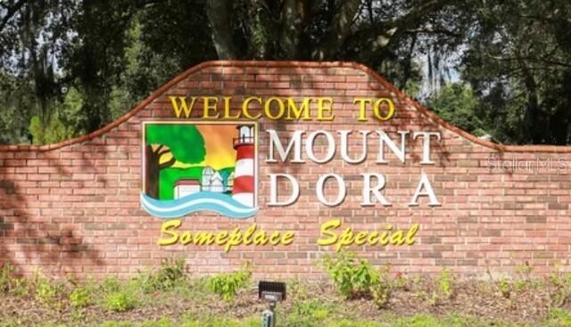 22139 Scenic Ridge Ct, Mount Dora, FL 32757 - photo 38
