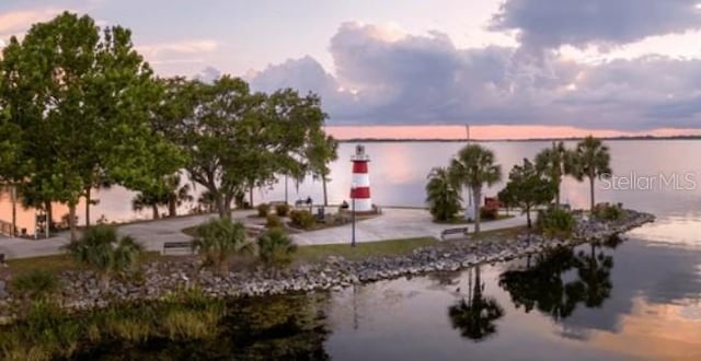 22139 Scenic Ridge Ct, Mount Dora, FL 32757 - photo 43