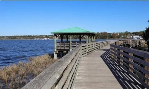 22139 Scenic Ridge Ct, Mount Dora, FL 32757 - photo 44