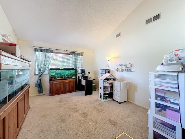 8346 Mattituck Cir, Orlando, FL 32829 - office space featuring vaulted ceiling, light colored carpet, and a textured ceiling