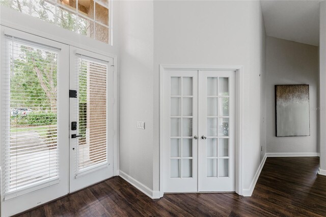 9285 Wickham Way, Orlando, FL 32836 - doorway to outside featuring french doors, dark wood finished floors, and a high ceiling