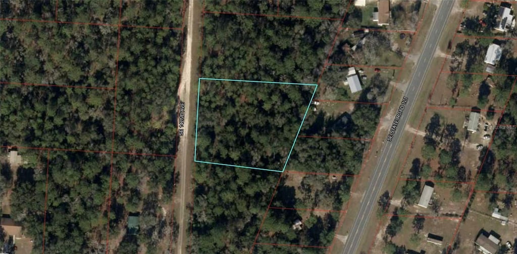 142nd Ave, Morriston, FL 32668