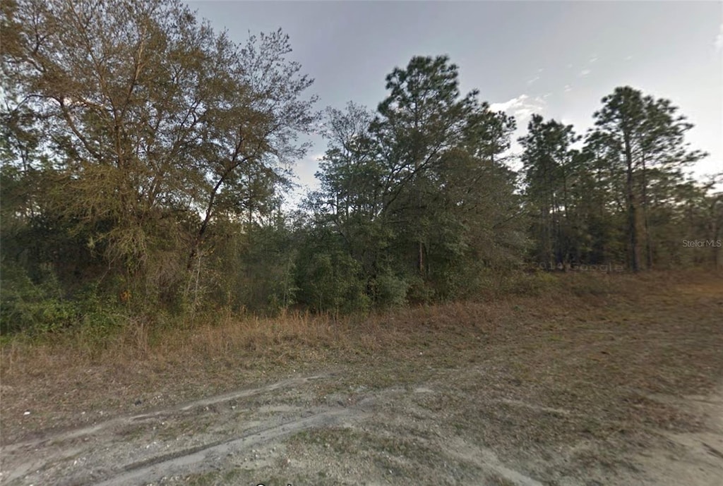 142nd Ave, Morriston, FL 32668