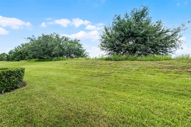 17453 Chateau Pine Way, Clermont, FL 34711 - photo 33
