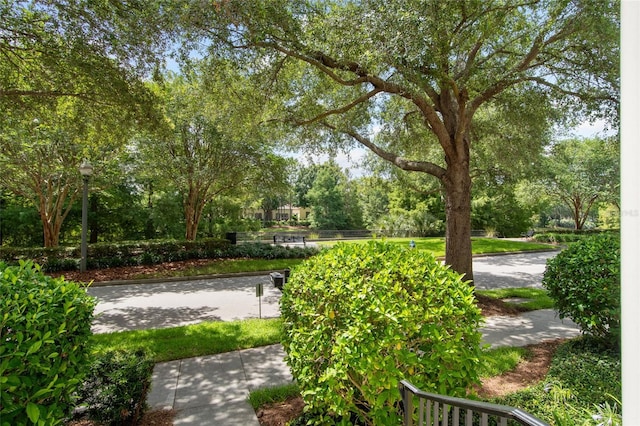 4709 Fox St, Orlando, FL 32814 - view of yard featuring view of scattered trees