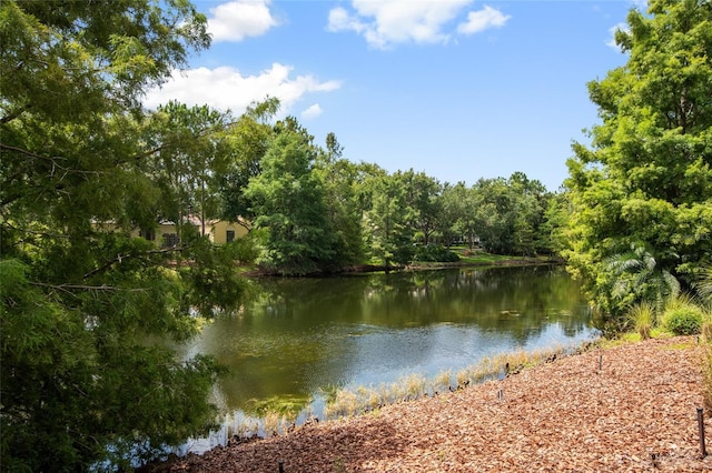 4709 Fox St, Orlando, FL 32814 - water view with a heavily wooded area