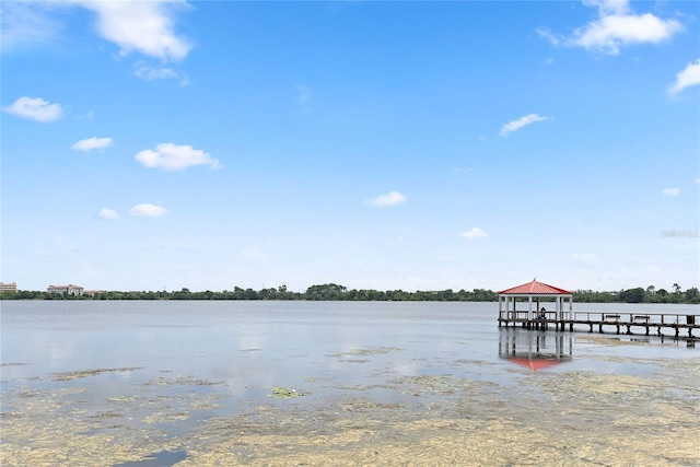 4709 Fox St, Orlando, FL 32814 - dock area featuring a water view