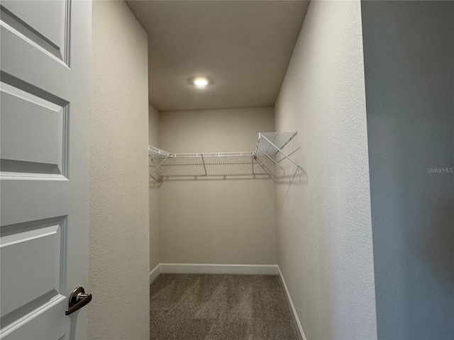 3891 Sagefield Dr, Harmony, FL 34773 - walk in closet featuring carpet