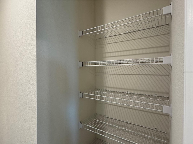 3891 Sagefield Dr, Harmony, FL 34773 - view of pantry
