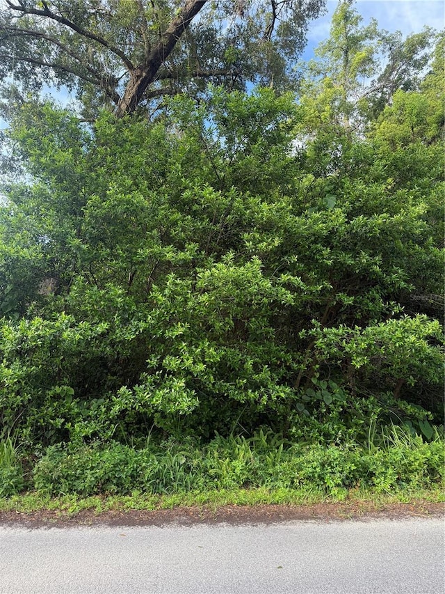 Valencia Ave, Orange City, FL 32763 - photo 2