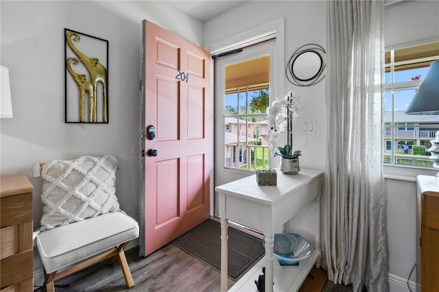 1100 E Caroline St Unit 204, Tavares, FL 32778 - entrance foyer featuring dark wood-style flooring