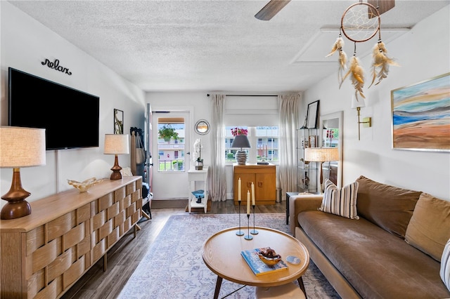 1100 E Caroline St Unit 204, Tavares, FL 32778 - living room featuring wood finished floors and a textured ceiling