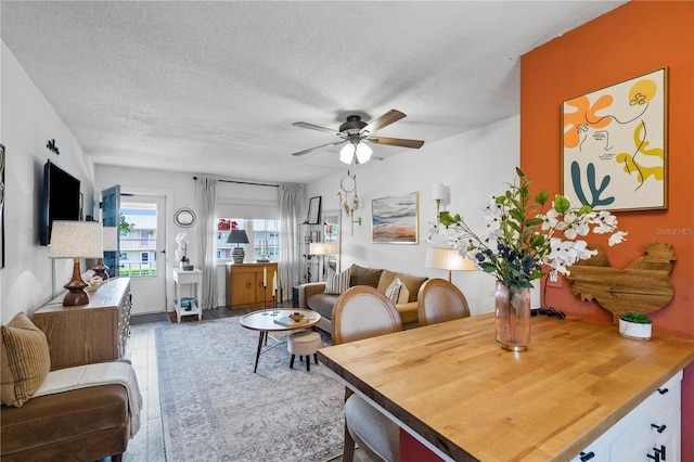 1100 E Caroline St Unit 204, Tavares, FL 32778 - living room with ceiling fan and a textured ceiling