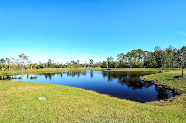 17676 Passionflower Cir, Clermont, FL 34714 - water view
