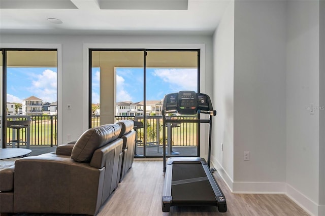 1526 Euston Dr, Reunion, FL 34747 - exercise room featuring light wood finished floors and a residential view