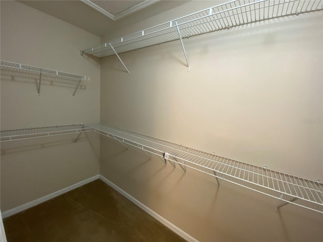 1227 Juniper Hammock St, Winter Garden, FL 34787 - spacious closet with dark colored carpet