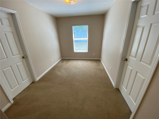 1227 Juniper Hammock St, Winter Garden, FL 34787 - unfurnished room featuring light colored carpet and a textured ceiling