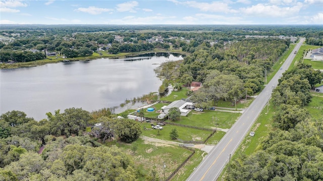 369 Bluff Lake Rd, Mascotte, FL 34753 - aerial overview of property's location with a nearby body of water and a forest