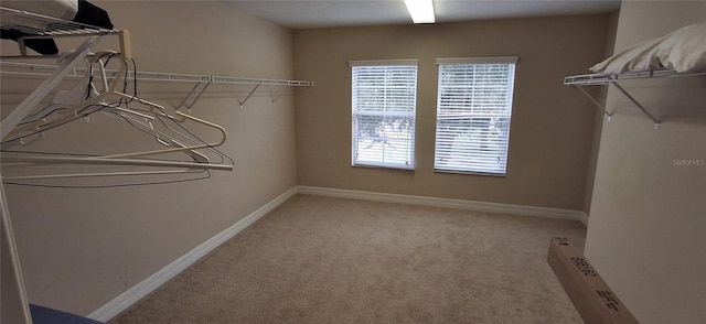 844 Suffolk Pl, Davenport, FL 33896 - walk in closet featuring carpet