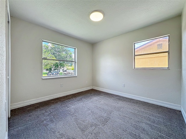2109 Hartwell Ave, Sanford, FL 32771 - empty room featuring dark carpet and a textured ceiling