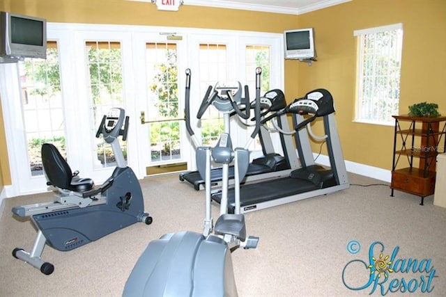 1428 Solana Cir, Davenport, FL 33897 - workout area with ornamental molding, carpet, plenty of natural light, and french doors