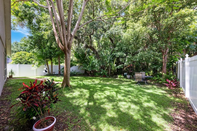 1646 Song Sparrow Ct, Sanford, FL 32773 - view of fenced backyard
