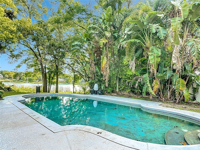 3417 Pershing Ave, Orlando, FL 32812 - outdoor pool with a patio area