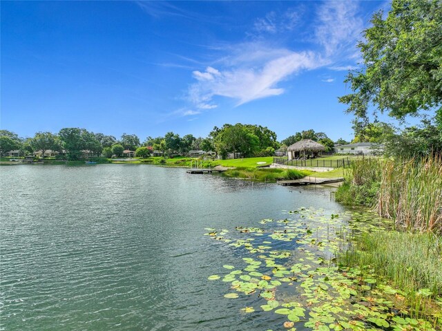 3417 Pershing Ave, Orlando, FL 32812 - water view