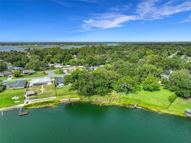 3417 Pershing Ave, Orlando, FL 32812 - bird's eye view of a large body of water