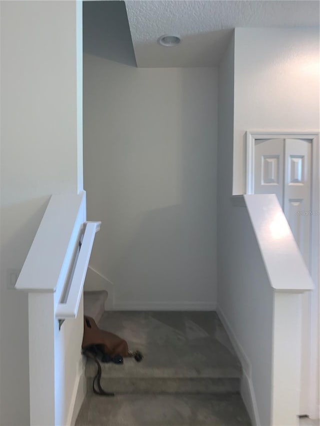 1003 E 10th St, Apopka, FL 32703 - stairway featuring a textured ceiling and carpet floors