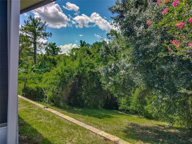 12938 Maribou Cir, Orlando, FL 32828 - view of green lawn with a wooded view