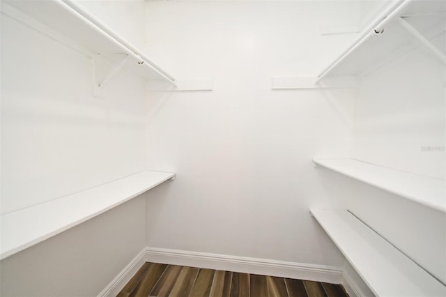 3057 Aaron Burr Ave Unit 1, Winter Park, FL 32792 - walk in closet with dark wood-type flooring