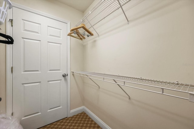 7509 Mourning Dove Cir Unit 204, Reunion, FL 34747 - view of spacious closet