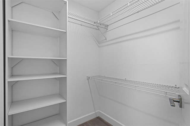 315 Lake Rd, Lake Mary, FL 32746 - view of spacious closet