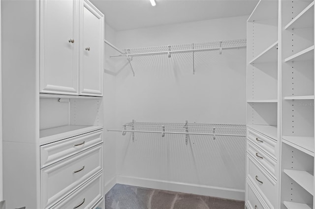 315 Lake Rd, Lake Mary, FL 32746 - spacious closet featuring carpet floors
