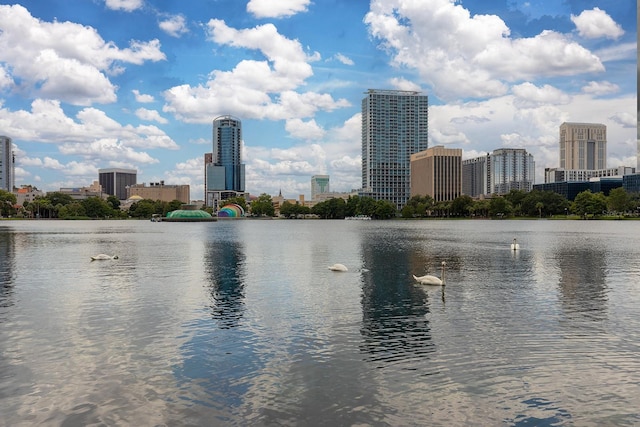 10 N Summerlin Ave Unit 14, Orlando, FL 32801 - water view featuring skyline