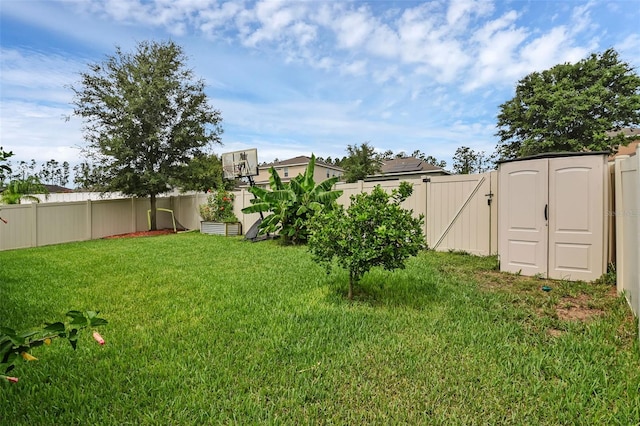 3472 Gretchen Dr, Ocoee, FL 34761 - fenced backyard with a storage shed