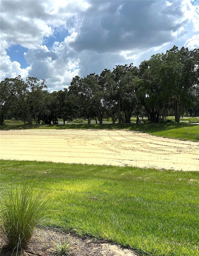 2042 Key Bay Trl, Kissimmee, FL 34747 - view of yard