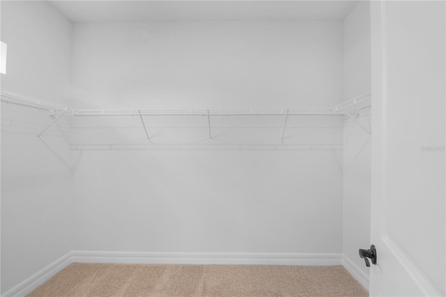5908 SW 115 Street Rd, Ocala, FL 34476 - walk in closet with carpet