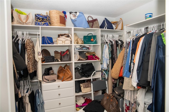 5963 Glory Bower Dr, Winter Garden, FL 34787 - view of spacious closet