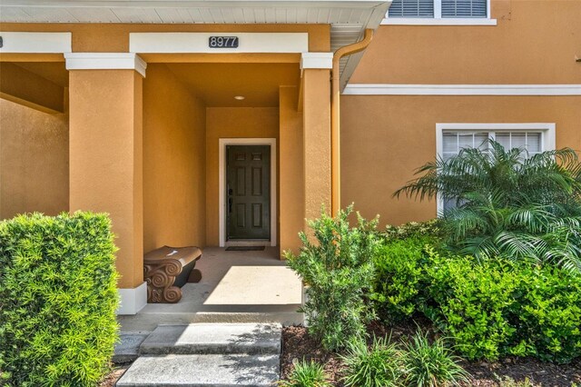 8977 Majesty Palm Rd, Kissimmee, FL 34747 - photo 3
