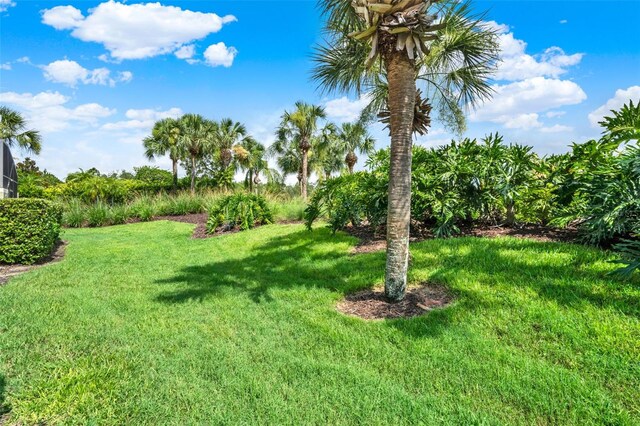 8977 Majesty Palm Rd, Kissimmee, FL 34747 - photo 50