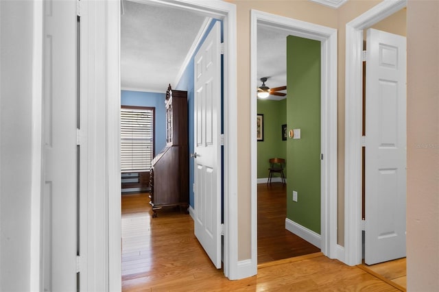 144 Bridgeton St, Davenport, FL 33896 - hall featuring light wood-style flooring and ornamental molding