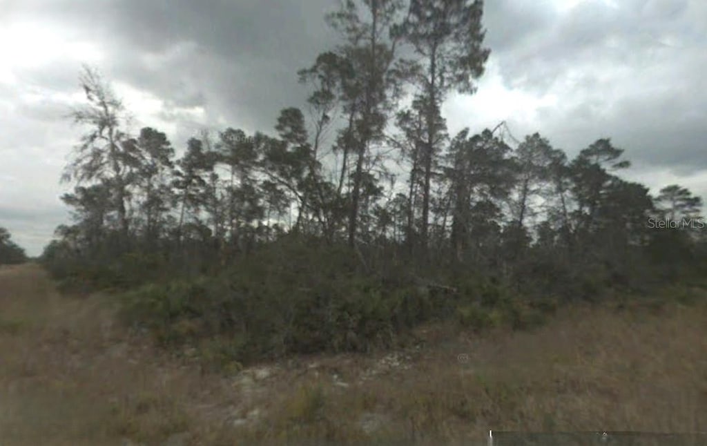 132 Jay Cir, Sebring, FL 33872