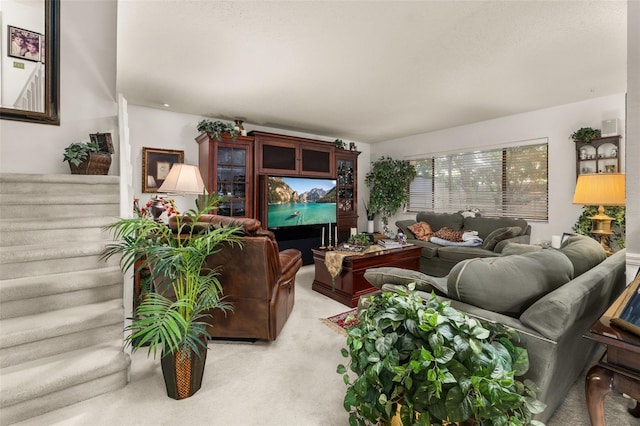 2208 Mcmahon Ct Unit 1033, Orlando, FL 32812 - living room featuring light carpet