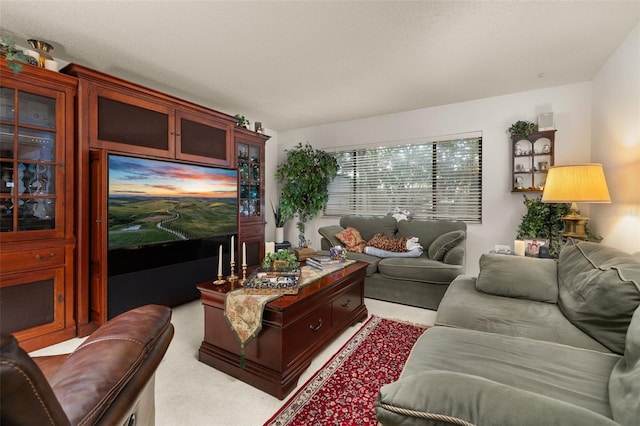 2208 Mcmahon Ct Unit 1033, Orlando, FL 32812 - view of living area