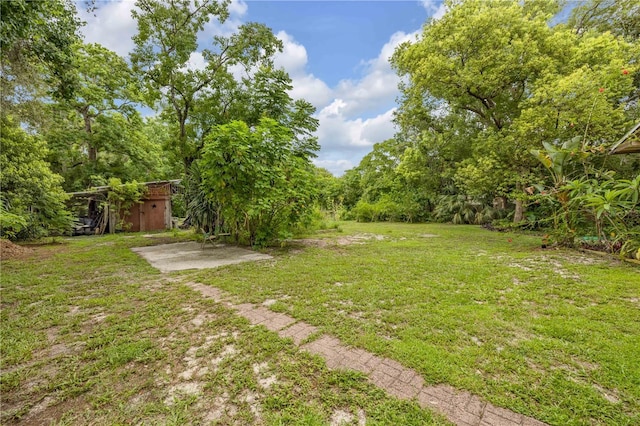 32125 Okaloosa Trl, Sorrento, FL 32776 - photo 30